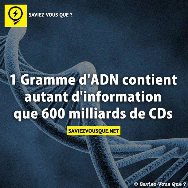 1 Gramme d’ADN contient autant d’information que 600 milliards de CDs