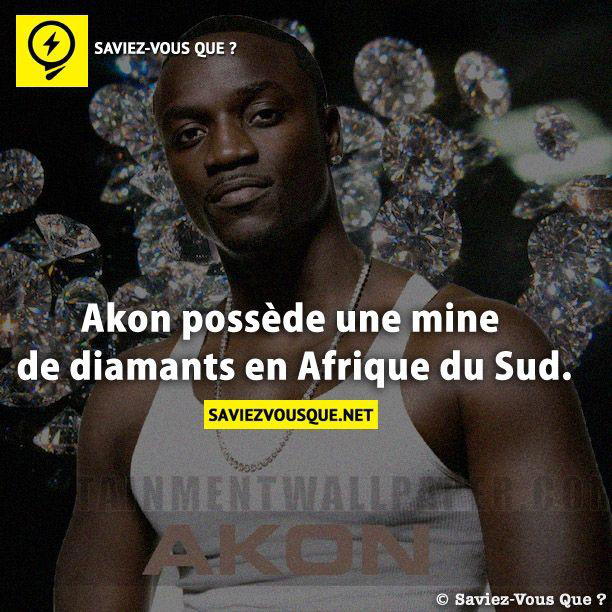 Akon possède une mine de diamants en Afrique du Sud.