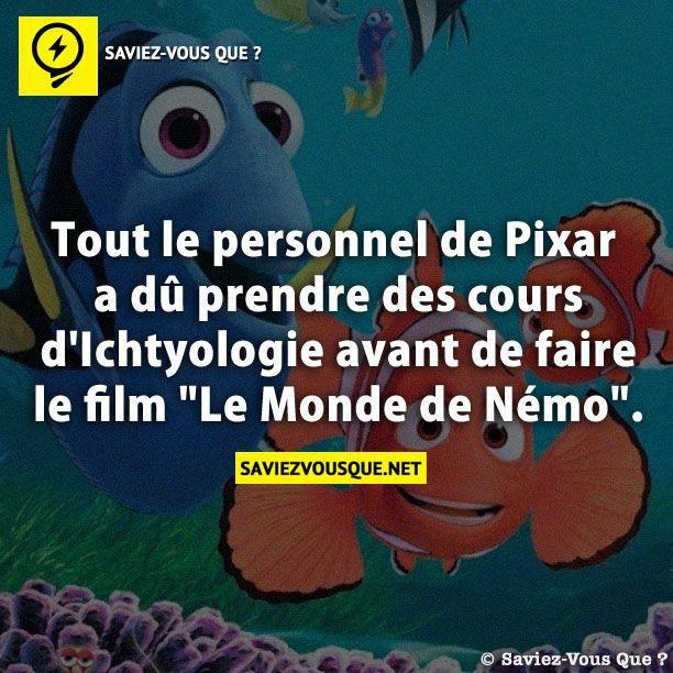 Tout le personnel de Pixar a dû prendre des cours d’Ichtyologie avant de faire le film « Le Monde de Némo ».