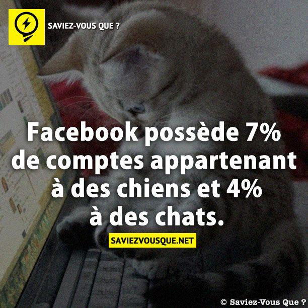 Facebook possède 7% de comptes appartenant à des chiens et 4% à des chats.