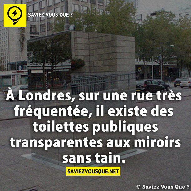 À Londres, sur une rue très fréquentée, il existe des toilettes publiques transparentes aux miroirs sans tain.