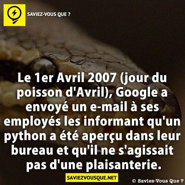 Le 1er Avril 2007 (jour du poisson d’Avril), Google a envoyé un e-mail à ses employés les informant qu’un python a été aperçu dans leur bureau et qu’il ne s’agissait pas d’une plaisanterie.
