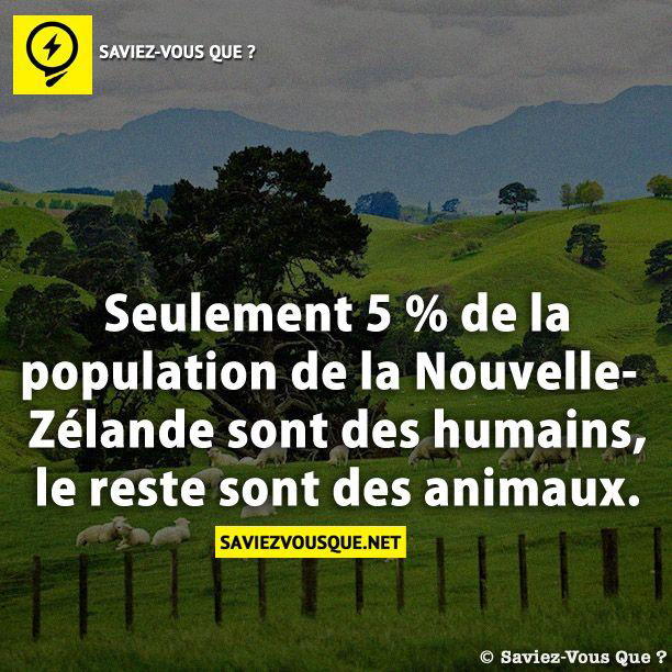 Seulement 5 % de la population de la Nouvelle-Zélande sont des humains, le reste sont des animaux.
