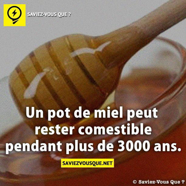 Un pot de miel peut rester comestible pendant plus de 3000 ans.