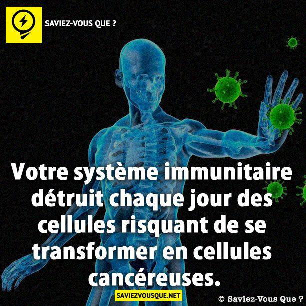 Votre système immunitaire détruit chaque jour des cellules risquant de se transformer en cellules cancéreuses.