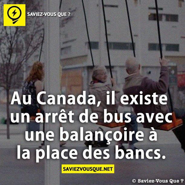 Au Canada, il existe un arrêt de bus avec une balançoire à la place des bancs.