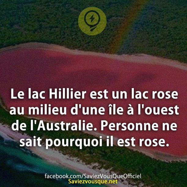 Le lac Hillier est un lac rose au milieu d’une île à l’ouest de l’Australie. Personne ne sait pourquoi il est rose.