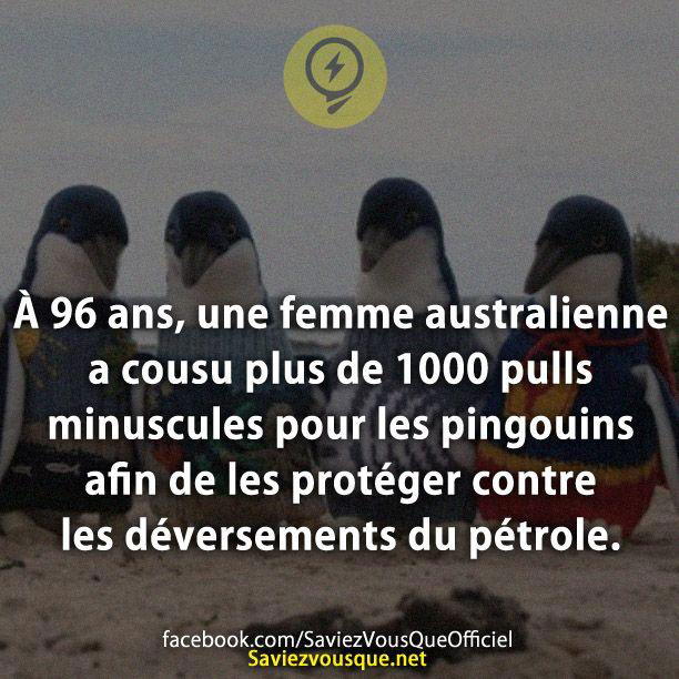 À 96 ans, une femme australienne a cousu plus de 1000 pulls minuscules pour les pingouins afin de les protéger contre les déversements du pétrole.