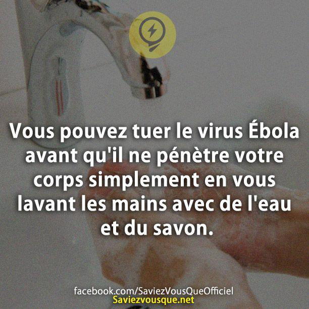 Vous pouvez tuer le virus Ébola avant qu’il ne pénètre votre corps simplement en vous lavant les mains avec de l’eau et du savon.