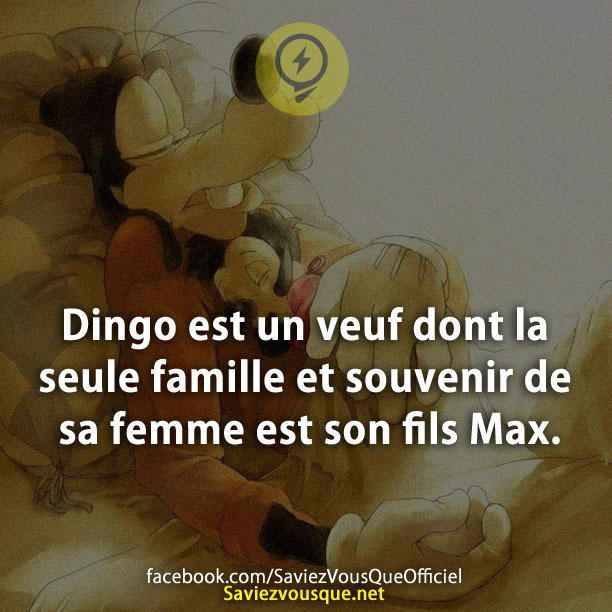 Dingo est un veuf dont la seule famille et souvenir de sa femme est son fils Max.
