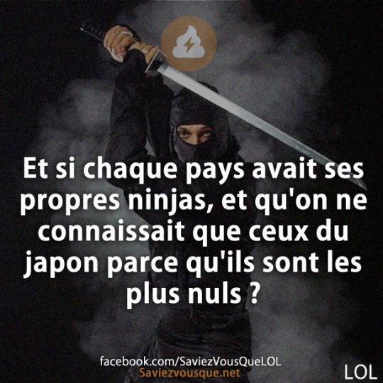 Et si chaque pays avait ses propres ninjas, et qu’on ne connaissait que ceux du japon parce qu’ils sont les plus nuls ?