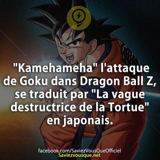 « Kamehameha » l’attaque de Goku dans Dragon Ball Z, se traduit par « La vague destructrice de la Tortue » en japonais.