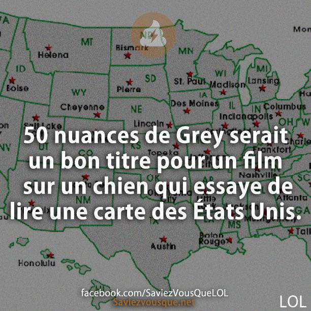 50 nuances de Grey serait un bon titre pour un film sur un chien qui essaye de lire une carte des États Unis.