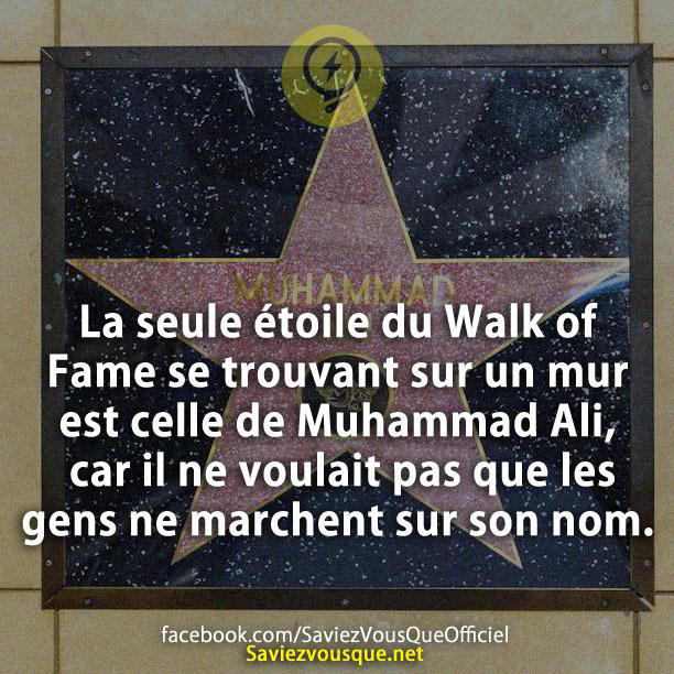 La seule étoile du Walk of Fame se trouvant sur un mur est celle de Muhammad Ali, car il ne voulait pas que les gens ne marchent sur son nom.
