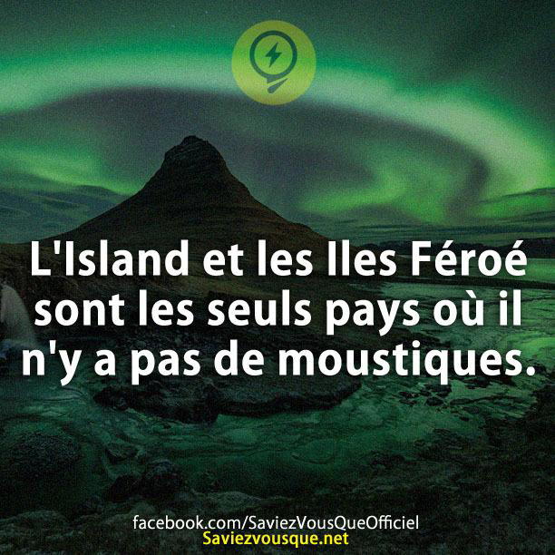 L’Island et les Iles Féroé sont les seuls pays où il n’y a pas de moustiques.