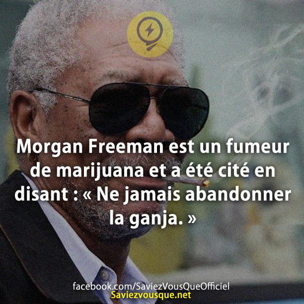 Morgan Freeman est un fumeur de marijuana et a été cité en disant : «Ne jamais abandonner la ganja.»