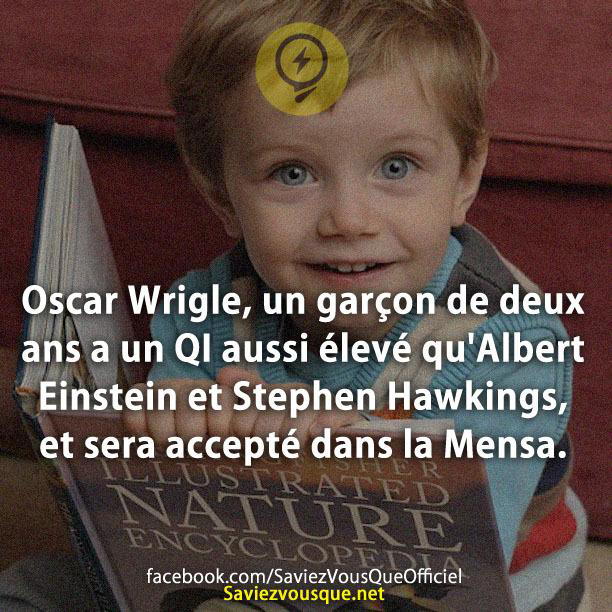 Oscar Wrigle, un garçon de deux ans a un QI aussi élevé qu’Albert Einstein et Stephen Hawkings, et sera accepté dans la Mensa.