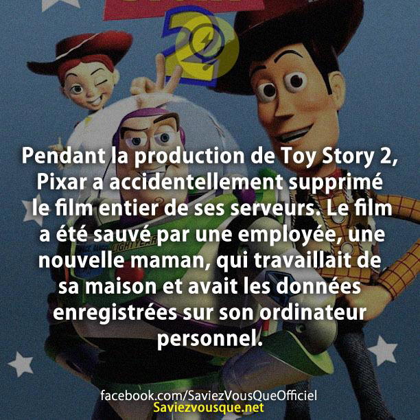 Pendant la production de Toy Story 2, Pixar a accidentellement supprimé le film entier de ses serveurs. Le film a été sauvé par une employée, une nouvelle maman, qui travaillait de sa maison et avait les données enregistrées sur son ordinateur personnel.