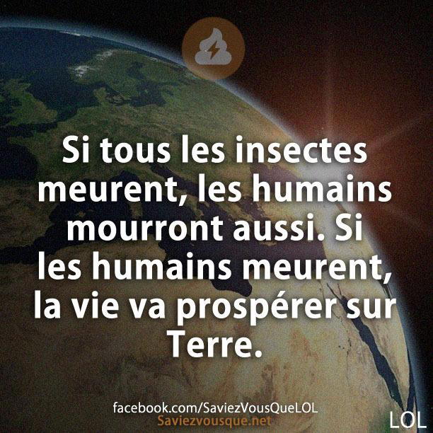 Si tous les insectes meurent, les humains mourront aussi. Si les humains meurent, la vie va prospérer sur Terre.
