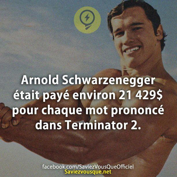 Arnold Schwarzenegger était payé environ 21 429$ pour chaque mot prononcé dans Terminator 2.