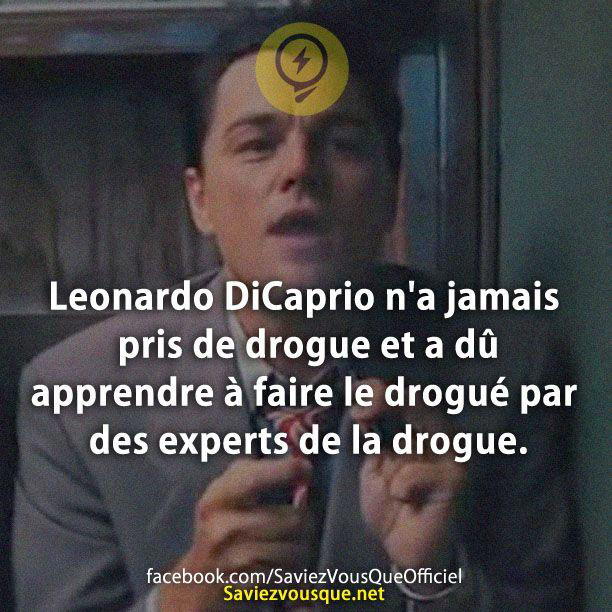 Leonardo DiCaprio n’a jamais pris de drogue et a dû apprendre à faire le drogué par des experts de la drogue.