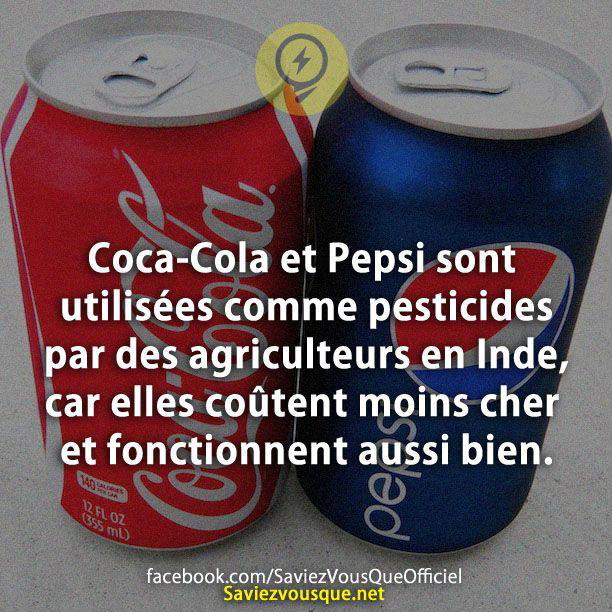 Coca-Cola et Pepsi sont utilisées comme pesticides par des agriculteurs en Inde, car elles coûtent moins cher et fonctionnent aussi bien.