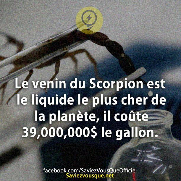 Le venin du Scorpion est le liquide le plus cher de la planète, il coûte 39,000,000$ le gallon.