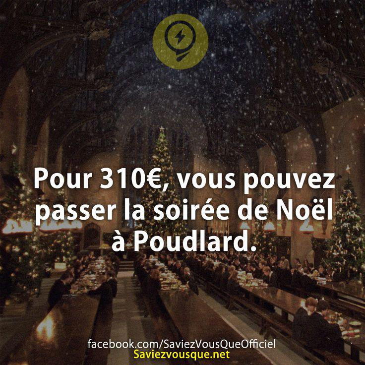Pour 310€, vous pouvez passer la soirée de Noël à Poudlard.