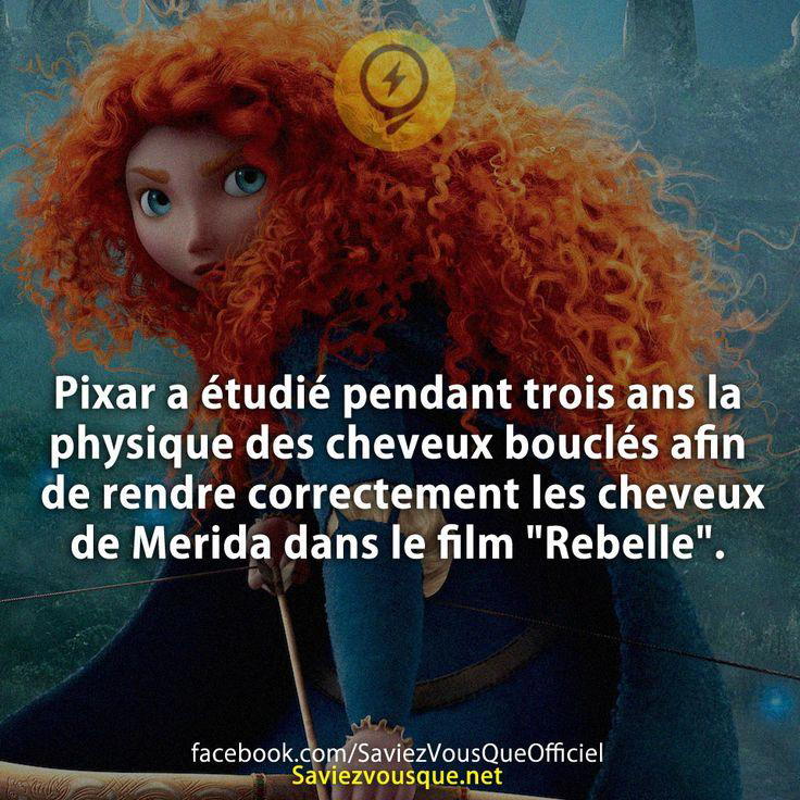 Pixar a étudié pendant trois ans la physique des cheveux bouclés afin de rendre correctement les cheveux de Merida dans le film « Rebelle ».