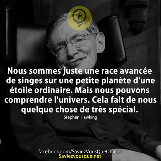 Nous Sommes Juste Une Race Avanc E De Singes Sur Une Petite Plan Te D