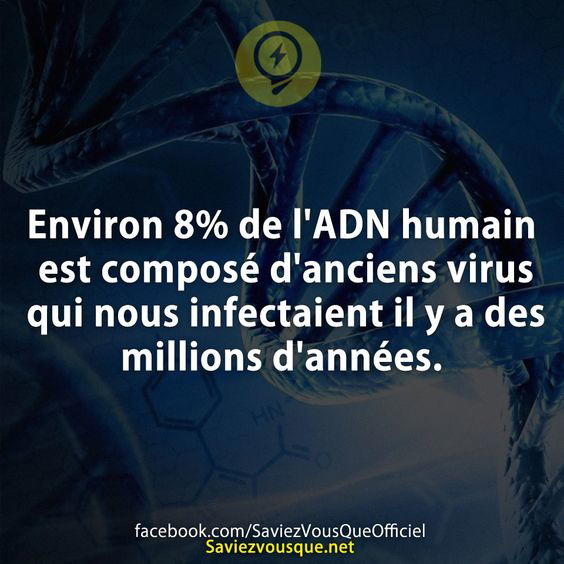 Environ 8% de l’ADN humain est composé d’anciens virus qui nous infectaient il y a des millions d’années.