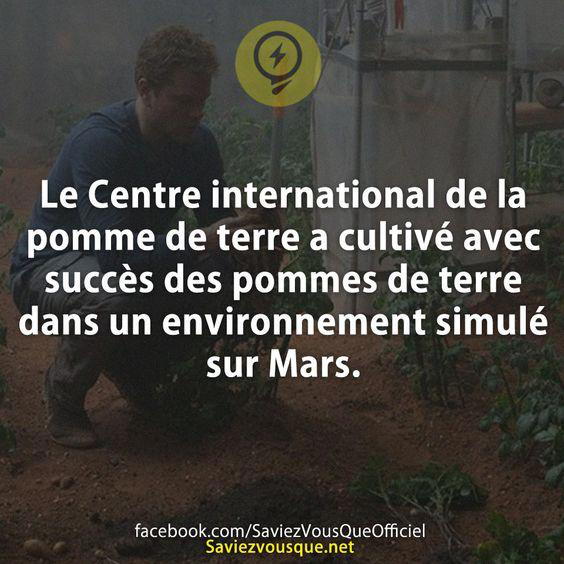 Le Centre international de la pomme de terre a cultivé avec succès des pommes de terre dans un environnement simulé sur Mars.