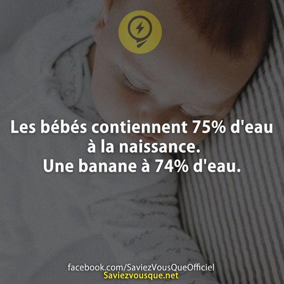 Les bébés contiennent 75% d’eau  à la naissance.  Une banane à 74% d’eau.